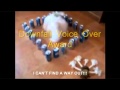 Downfall Parody Awards - January 2012