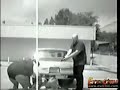 Shamu saves police woman\