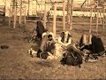 Berlin F\