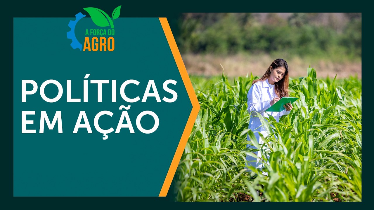 Violência Doméstica: Políticas de SP e os desafios  | A Força do Agro, com Joice Maffezzolli