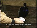 Stefan Odelberg and the amazing bird magic.