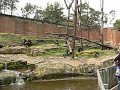 feeding the chimps, part 1