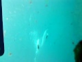 MOV00782