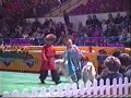 Borzoi Iwan Grotius Borzoi Iwan Grotius