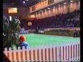 Borzoi video