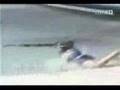To fat to fly