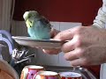 Rodwell, How he loves bathtime Rodwell, How he loves bathtime