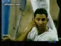 gatos-graciosos.html