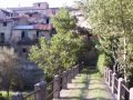 CINQUEFRONDI - DOMENICO GALLUZZO