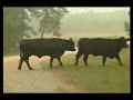 Environmental Stewardship - Hayston Farms - \