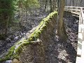 Steinerne Rinne bei Rohrbach (Mündungszone)