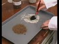 aceite motor bmg vs sepiolita