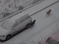 A doua ninsoare in bucuresti... Acum mai frumos