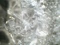 Salt Crystal Formation #2