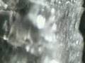 Salt Crystal Formation #2