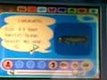 acww-caught coelacanth (:D) acww-caught coelacanth (:D)