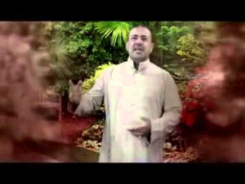 The Blue Lagoon 4 8) Movie CLIP Sticky Kiss (1980) HD YouTube 7