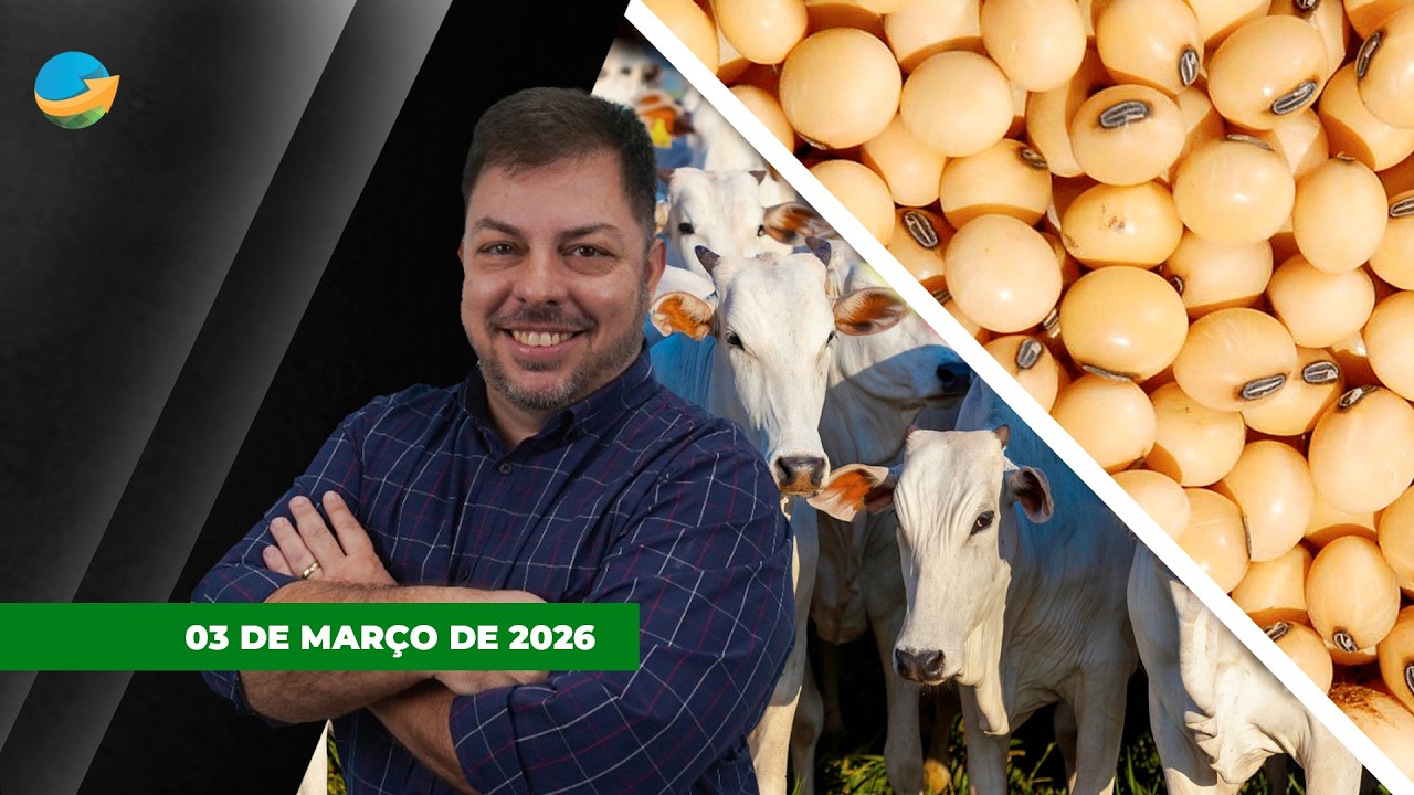 Frigoríficos fora das compras evitam nova rodada de alta para arroba; soja encerra em alta em...