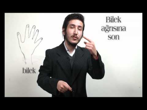 bilek