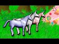 Charle the unicorn Charle the unicorn