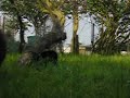 moutondesgandes