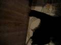 videos de Athan intenta jugar con Mafia
