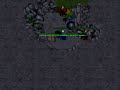 Druid Deily kills Druid Deily kills