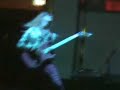 Tabby Cats live part 1 Tabby Cats live part 1