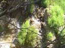 agosto 08 Sierra de Gudar (Teruel).wmv agosto 08 Sierra de Gudar (Teruel).wmv