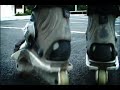 Adam Szymanski Skate Edit: Aghards