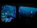 PlayMotion SPG: Virtual Aquarium PlayMotion SPG: Virtual Aquarium