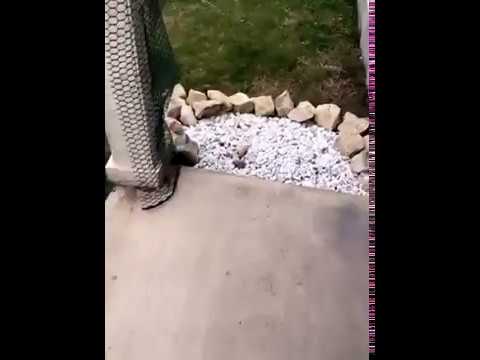 Lgi Homes - Horrible experience