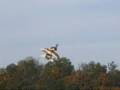 videos de ALPOWER00 F15 Depron Pusher Jet