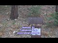 Sedona, Az Telephone Trail