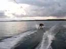session wake a cazaux session wake a cazaux