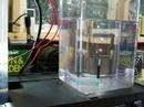 Ultrasonic Transducer added to plate cell