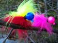 Jig Fishing for Coho