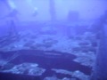 eagle ray movie