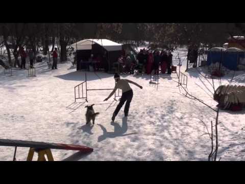 Ильина-НКП-9.03.12.mp4