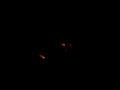 smashed up sparklers and al\