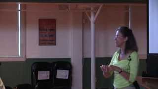 Dr. Paty Matrai Investigating a rapidly changing Arctic Ocean