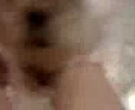 cute dog