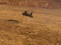The Duke RAH-66