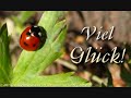 dieses lied haben ein freund und ich anl�sslich der hochzeit meiner schwester am 07.07.07 geschrieben. diesbez�glich m�chte ich mich nocheinmal bei ihm bedanken.^^
---
lyrics:
der verlobungsring fliegt �ber'n tisch;
kreuz und quer, das glas zerbricht;
