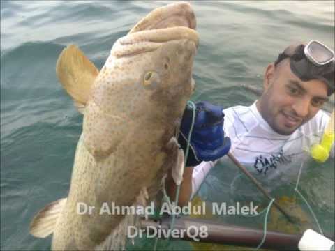 Spearfishing Kuwait