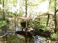 Florida land for sale - 9 acres with spring - $149,000