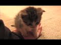 Adorable