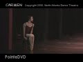 torreador from the ballet carmen