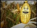 Los amables consejos del peque�o Dios del maiz Octubre 2006