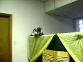 MOV00441